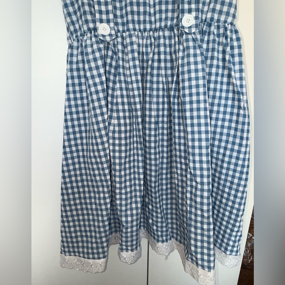 Dorothy Wizard of Oz Blue Gingham Suspender Dress and accessories - Picture 6 of 13